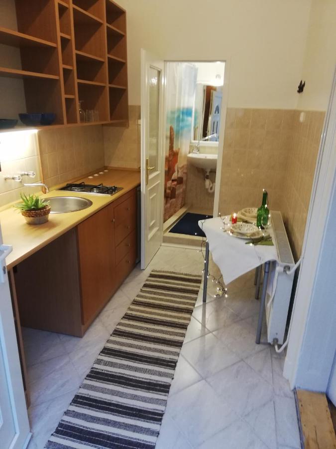 Varosliget Apartman Budapest公寓 外观 照片